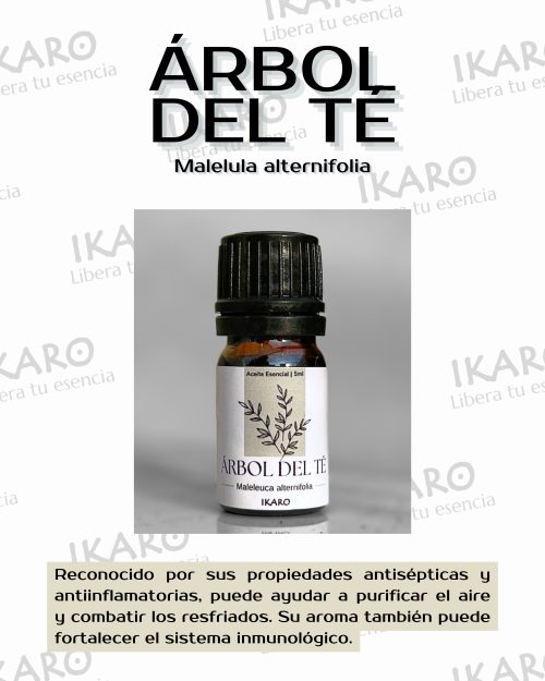 kit-iniciante-aromaterapia-ikaro.pe